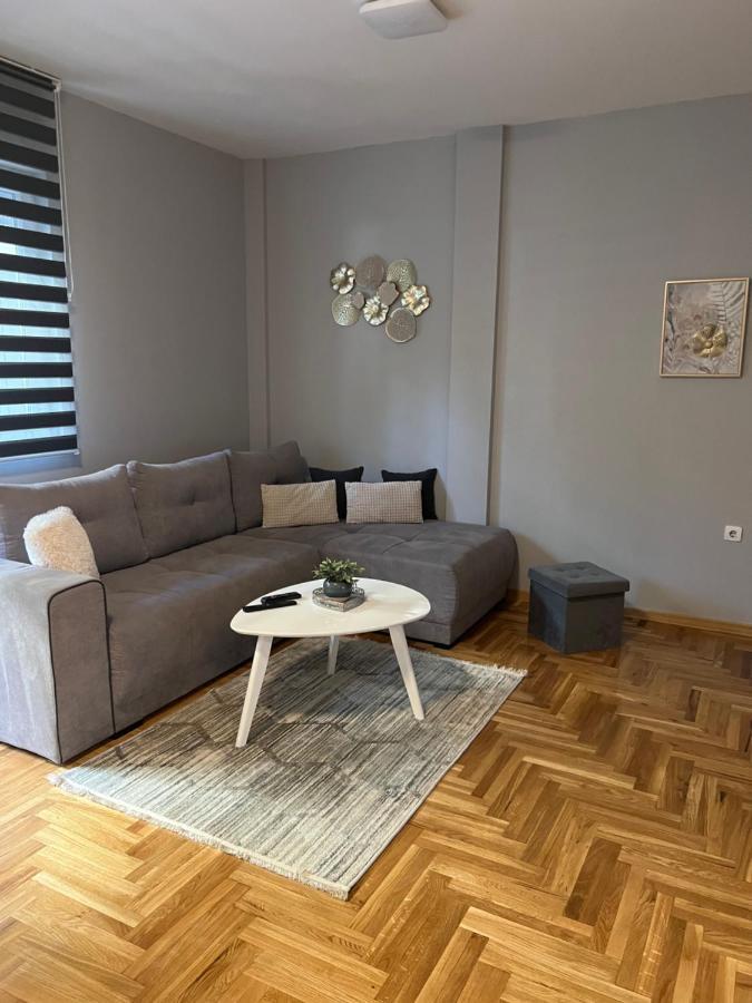 Centar Ns Διαμέρισμα Νόβι Σαντ Εξωτερικό φωτογραφία